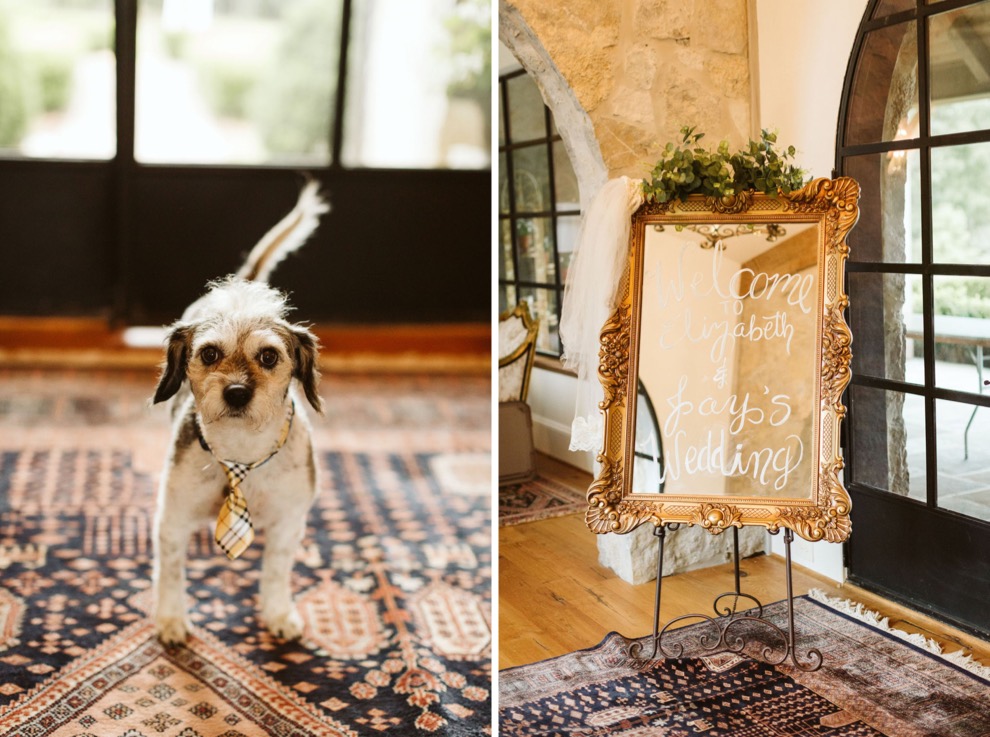 small black and white dog wearing a plaid tie stands near French doors and wedding day sign