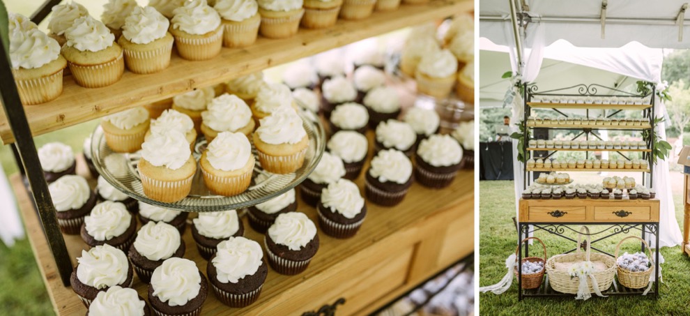 cupcake stand with vanilla and chocolate cupcakes with white icing