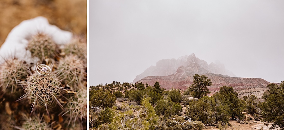 wedding rings perched on a wild cactus in Zion National Park