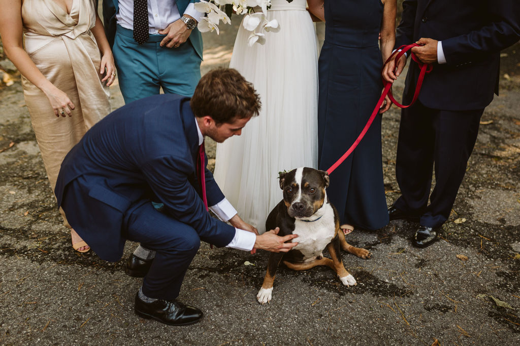 Groomsman stoops to pet the family dog in front of bride and groom