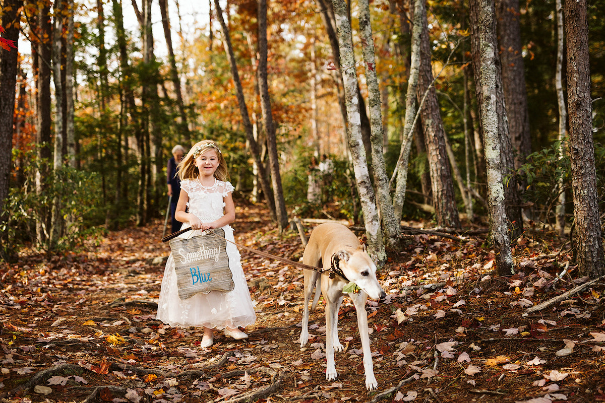 Small girl in white dress carries a wooden sign with "something blue" painted on it and has a tan greyhound on a leash