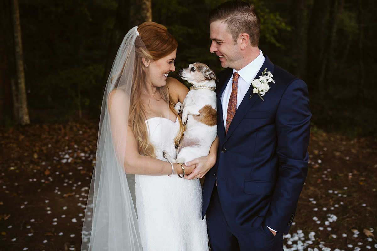 bride and groom stand beneath tall green trees hung with white paper lanterns. she cuddles a small brown and white dog