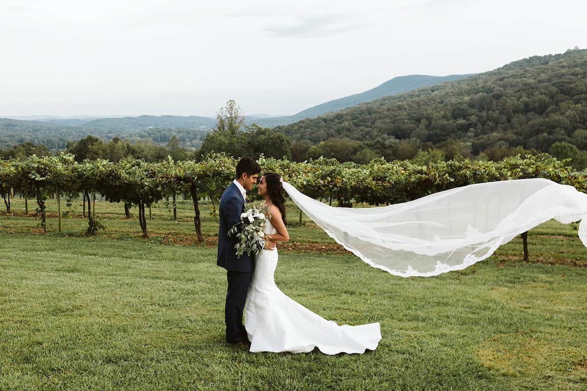 Bride and groom stand facing each other in front of grape vines and rolling hills. Her veil streams behind her.