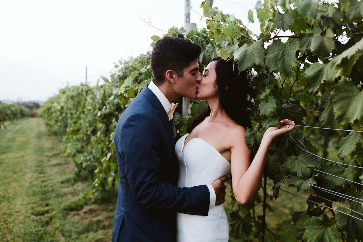 Groom kisses bride as she holds onto grape vine fencing at DeBarge Vineyard
