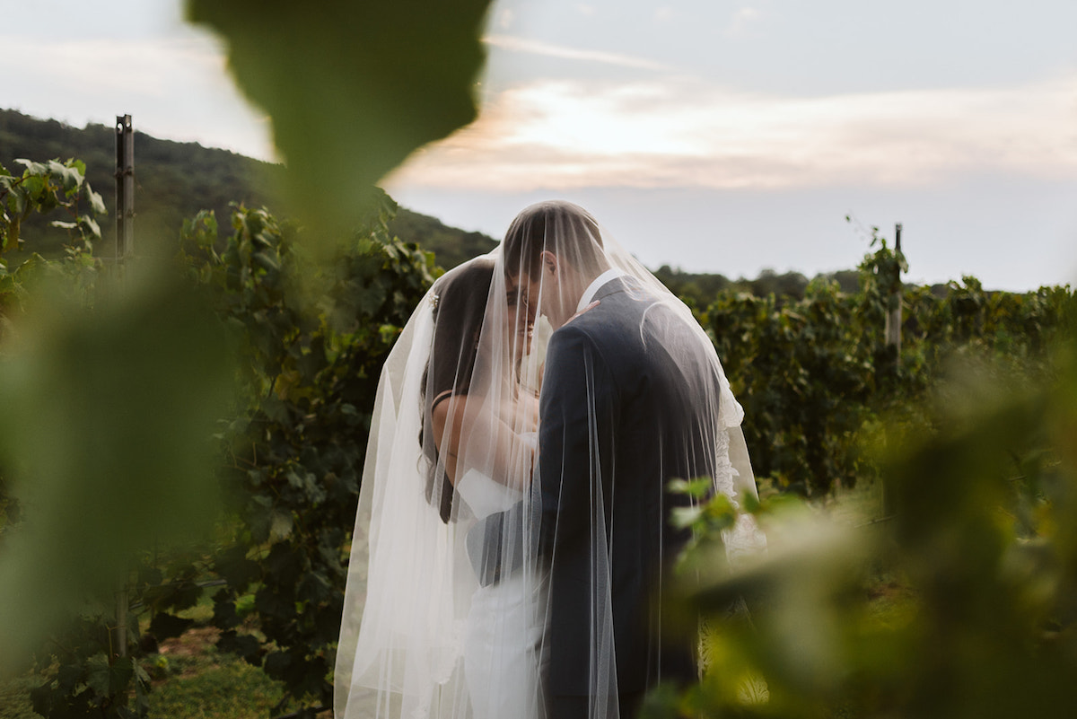 bride and groom covered in her veil between rows of grape vines at DeBarge Vineyard in Dalton Georgia