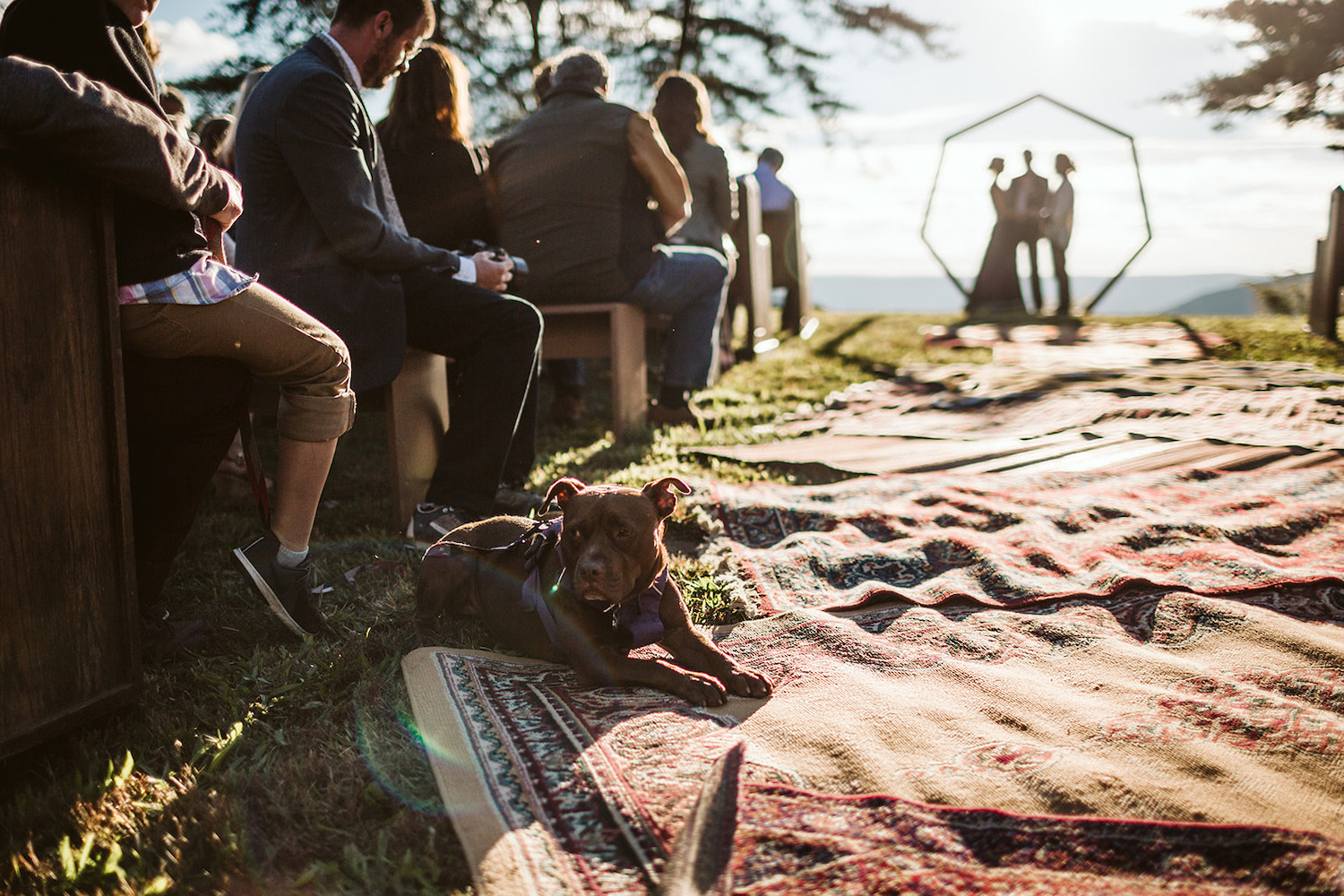 dog lies on Oriental rug in the aisle of Hemlock Falls wedding ceremony while man and woman exchange vows