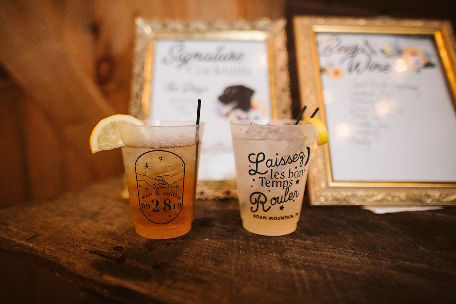 plastic cocktail cups printed with Laissez les bon temps rouler Roan Mountain