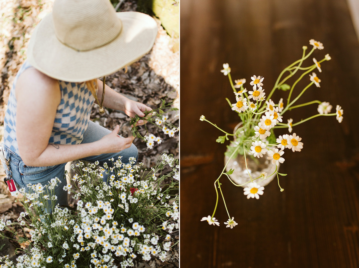 woman in blue and white checkered shirt and white hat collects white wildflowers for a glass vase