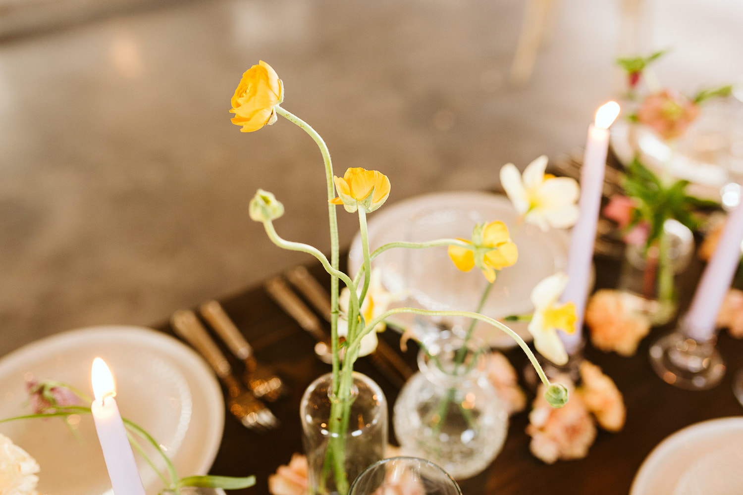 small yellow flowers with long stems in a simple glass vase