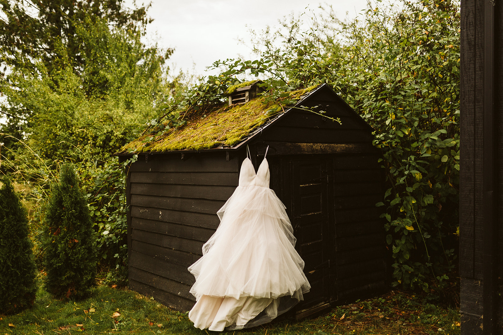 A white ballgown hangs on the side of an old shed in the woods.