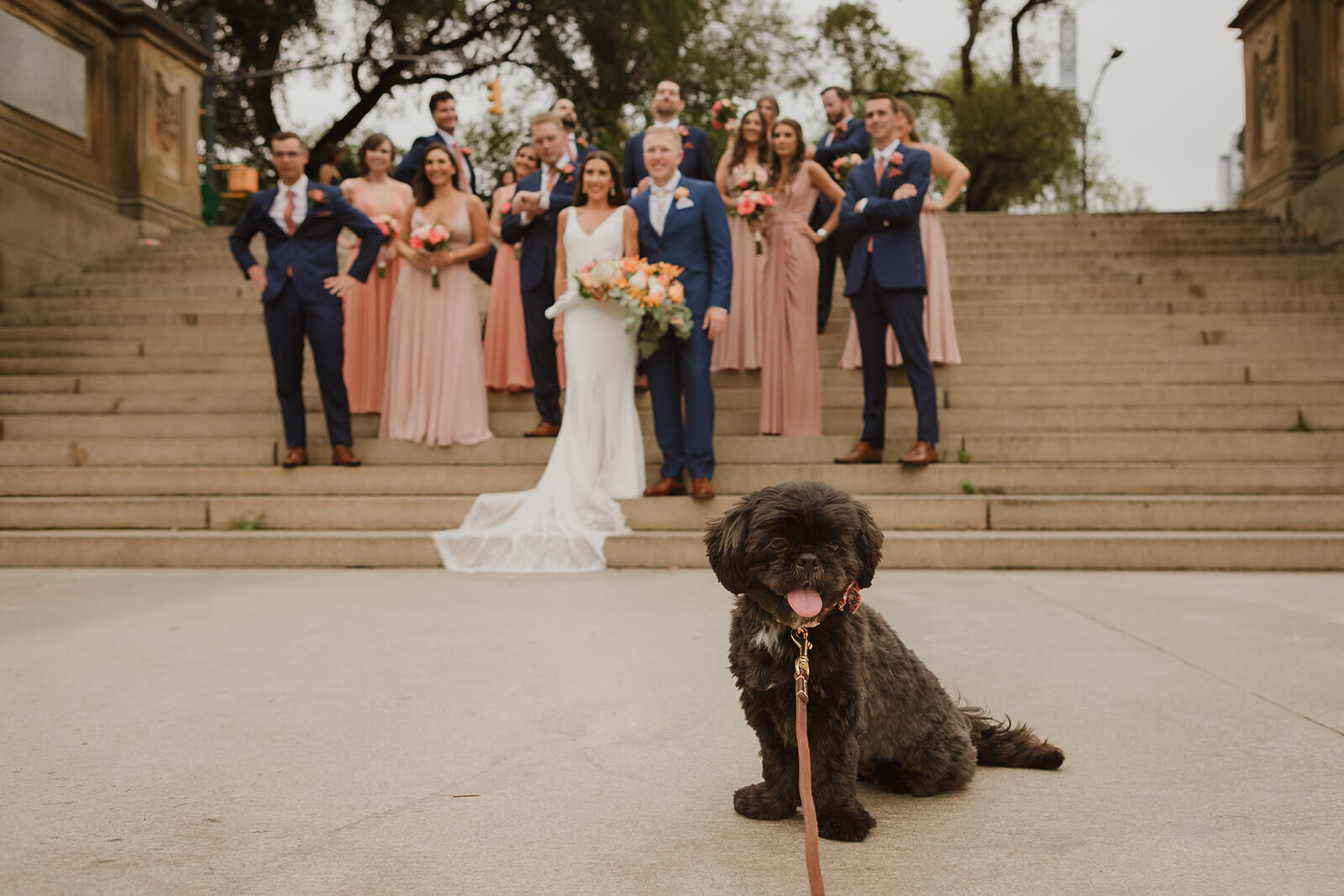 Ways to include your dog in your wedding. Photo by OkCrowe Photography.