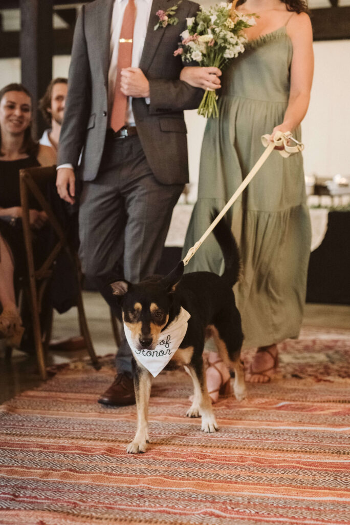 Pet-friendly wedding at the Hidden Springs Venue in Chattanooga. Photo by OkCrowe Photography. 