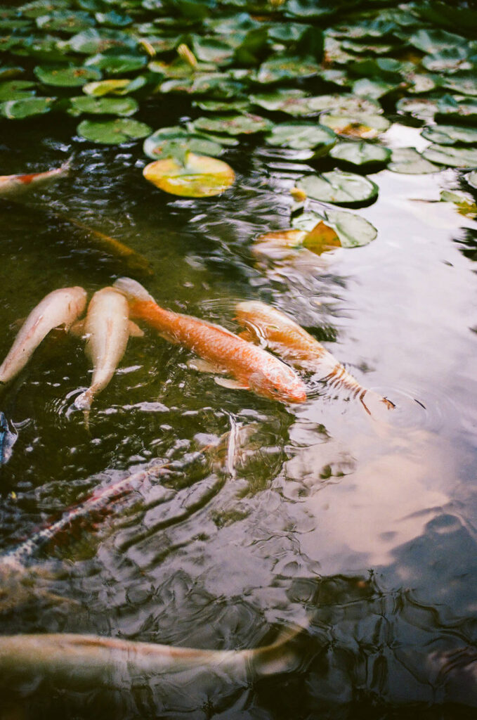Wedding reception at Rat's Resaurant at the Daydream sculpture Grounds for Sculpture. Photo by OkCrowe Photography. 