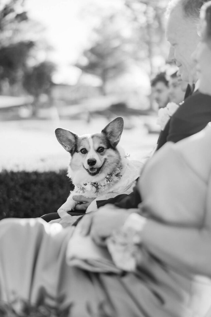 Wedding ceremony at the Mansion at Oyster Bay. Photo by OkCrowe Photography.